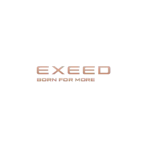 Техническое обслуживание EXEED